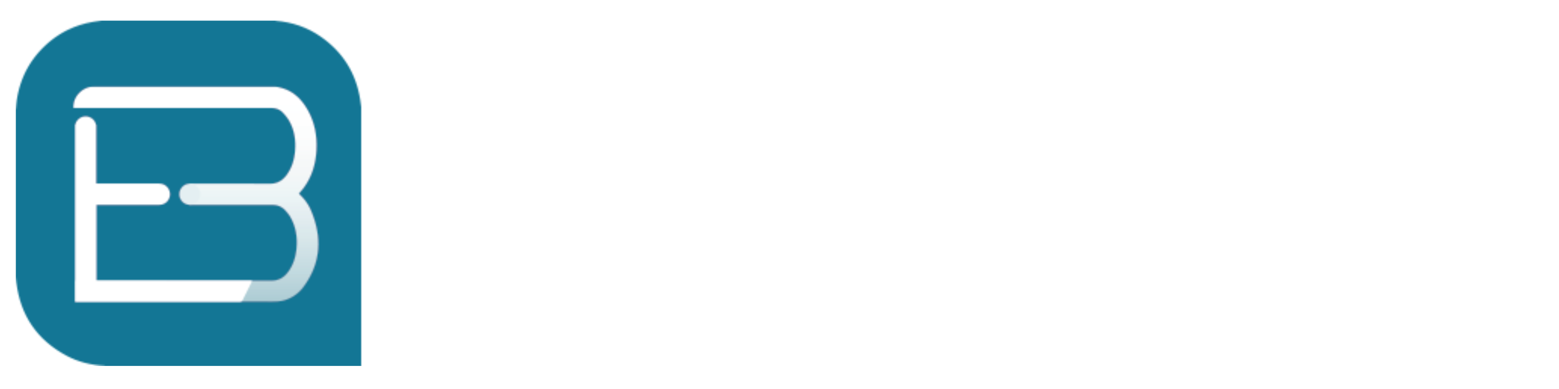 Bit Energy
